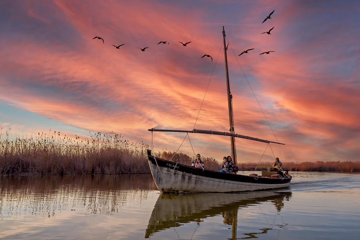 Barca tradicional de vela entre cañas al atardecer