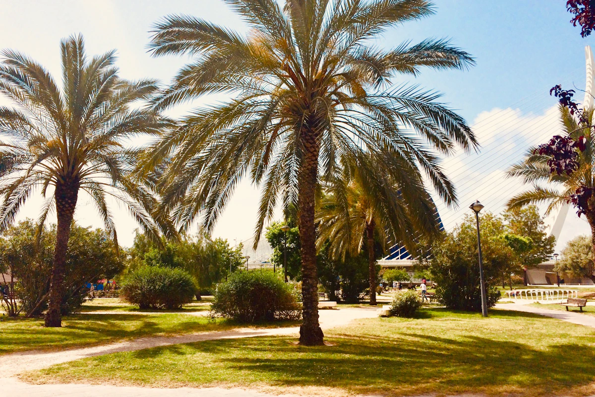 Jardín con palmeras y césped en un día soleado