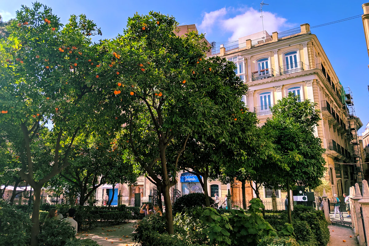 Plaza arbolada rodeada de edificios de viviendas